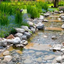 How to Prepare For Spring Clean Up