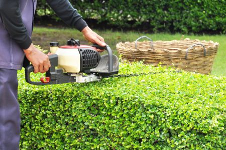 Boonton landscaping services