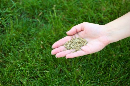 Dover landscaping contractor