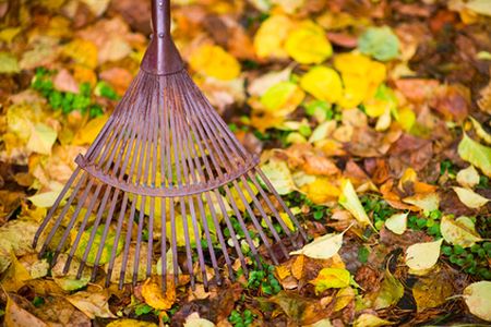 Mine hill landscaping