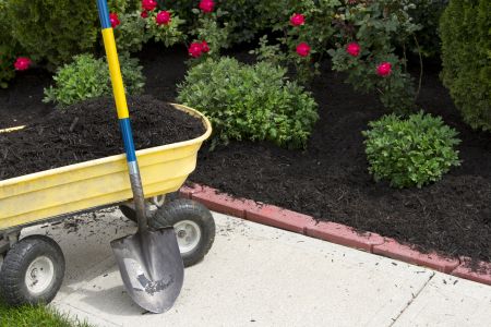 Montville landscaper