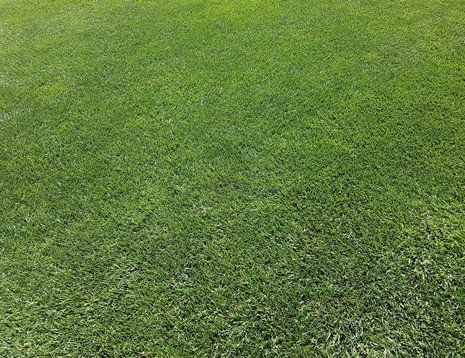 Lawn mowing plans oak ridge nj