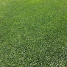 Affordable Lawn Mowing Plans in Oak Ridge, NJ