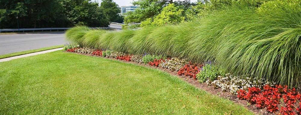 Year round landscaping maintenance plans oak ridge nj