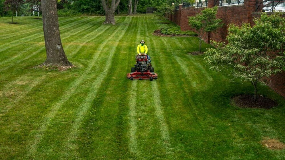 Best lawn maintenance programs oak ridge nj