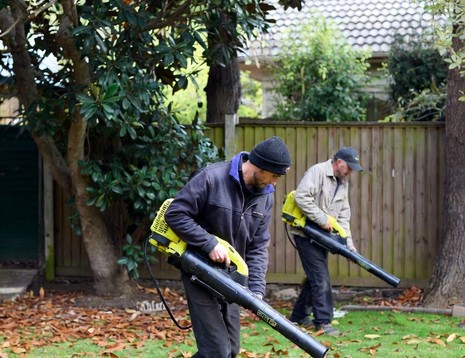 Residential fall cleanup wharton nj cover