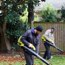 Detailed Residential Fall Cleanup in Wharton, NJ