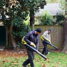 Residential fall cleanup wharton nj