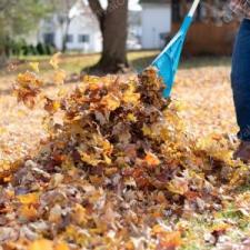 Fall cleanup and leaf blowing oak ridge nj