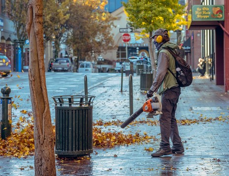 Expert fall cleanup mountain lakes nj cover