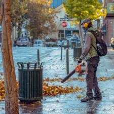 Expert fall cleanup mountain lakes nj
