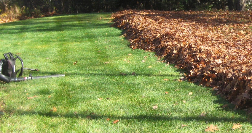 Fall Clean Up Landscape Service In, How To Clean Up Landscaping In Fall