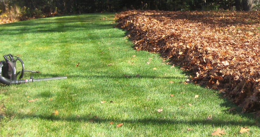 Fall clean up landscape service boonton twp nj