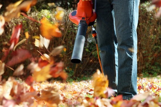 Fall cleanup rockaway township nj