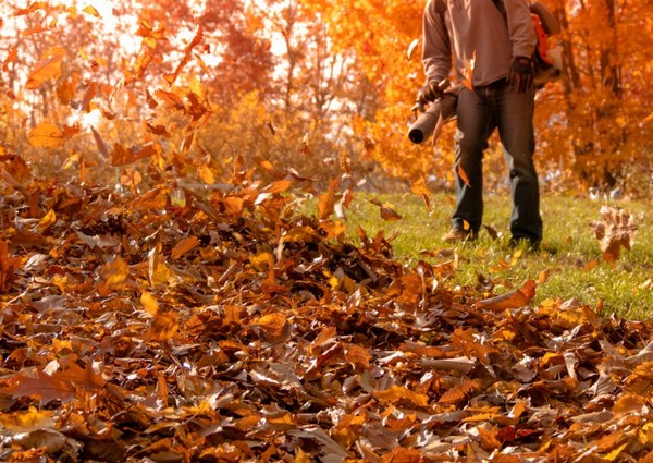 Fall cleanup landscaping service boonton nj