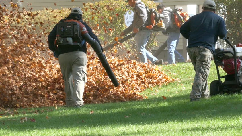 Fall cleanup leaf removal oak ridge nj