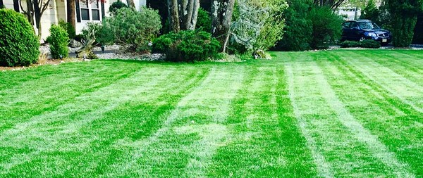 Landscaping spring cleanup oak ridge nj