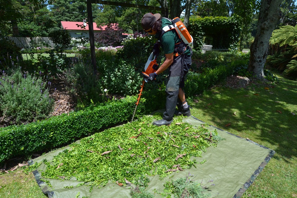 Spring cleanup mulch delivery boonton township nj