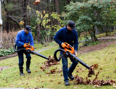 All cleanup leaf blowing west milford nj cover