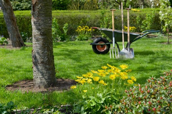 Spring clean up rockaway township nj