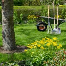Spring Clean-Up in Rockaway Township, NJ