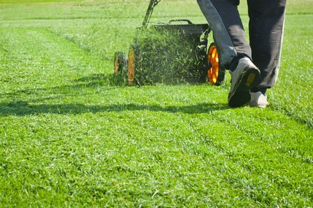 Grass cutting