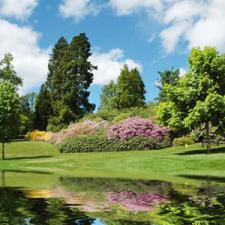 Commercial landscaping