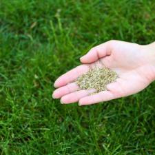 Lawn maintenance