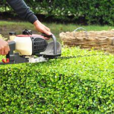 Spring cleanup